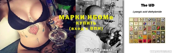сатива Арсеньев