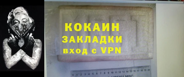 сатива Арсеньев