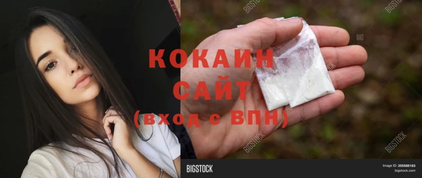 стафф Аркадак