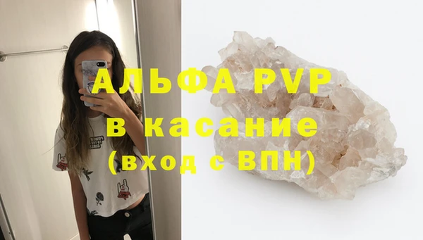 стафф Аркадак