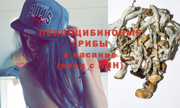 стафф Аркадак