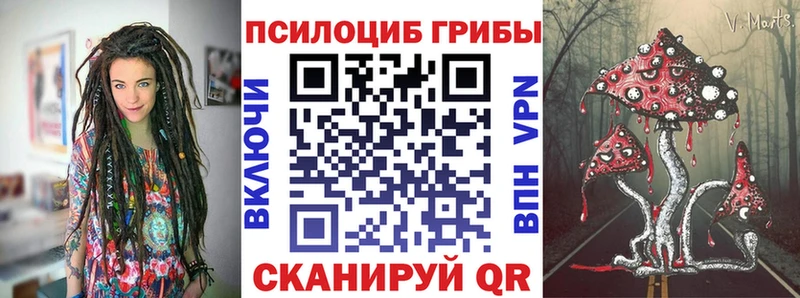 Псилоцибиновые грибы Magic Shrooms  закладки  Новороссийск 